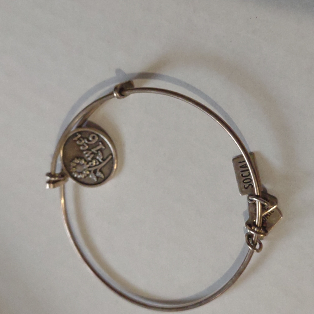 Wind & Fire Sweet 16 charm bangle bracelet social economical environmental